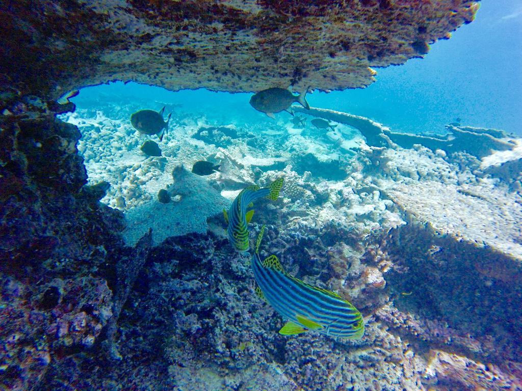 Island Home Inn Ukulhas Eksteriør bilde