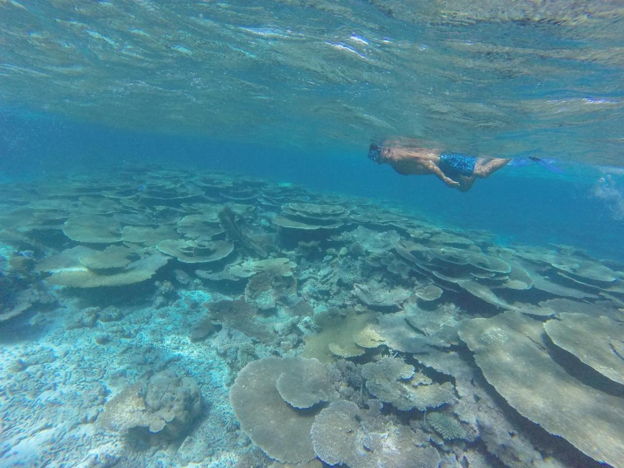 Island Home Inn Ukulhas Eksteriør bilde